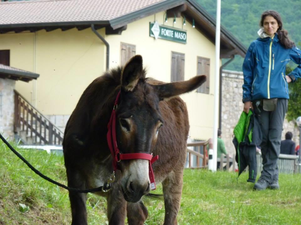 B&B Casabasoti Valli del Pasubio Εξωτερικό φωτογραφία