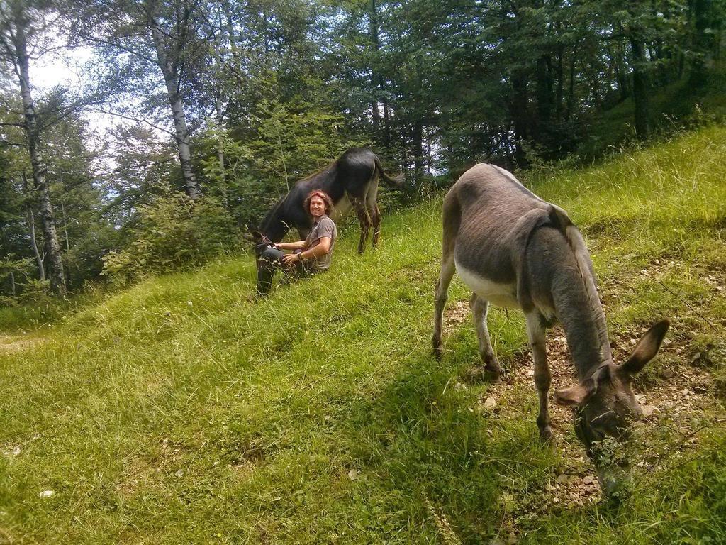 B&B Casabasoti Valli del Pasubio Εξωτερικό φωτογραφία