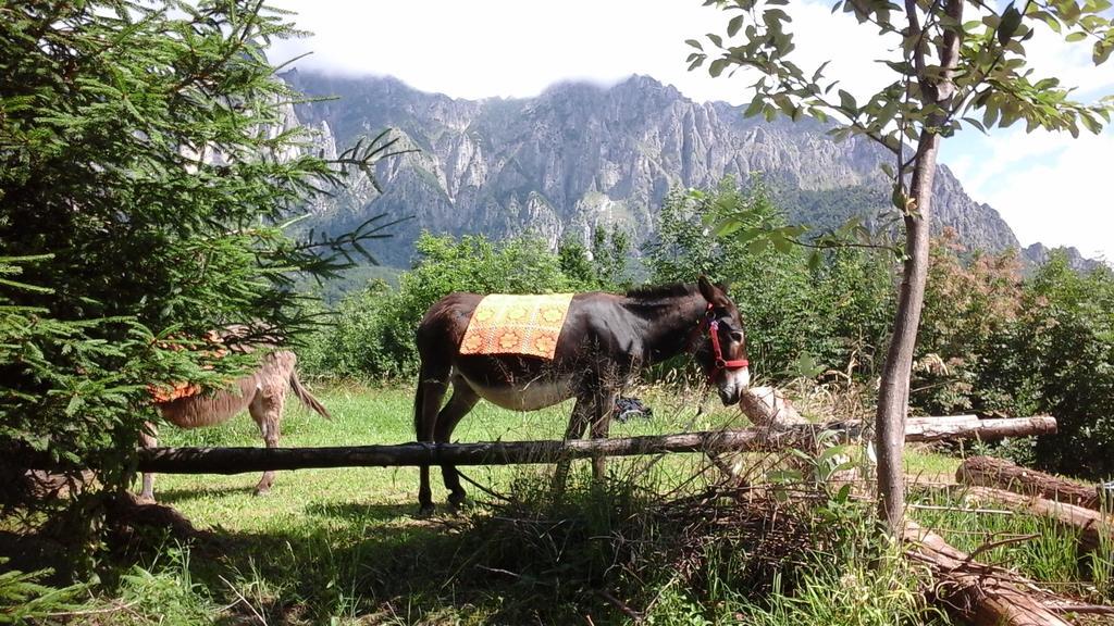 B&B Casabasoti Valli del Pasubio Εξωτερικό φωτογραφία